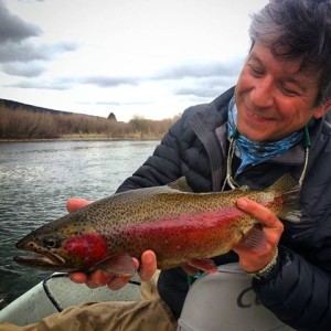 South Fork Rainbow
