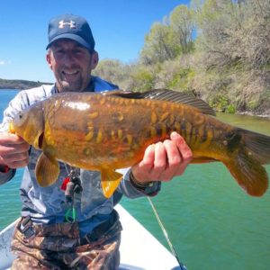 Snake River Mirror Carp