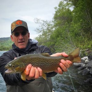 South Fork Brown Trout