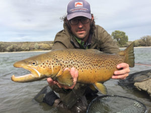 Snake River Brown Trout