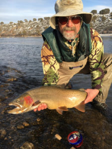 Snake River Cutthroat trout
