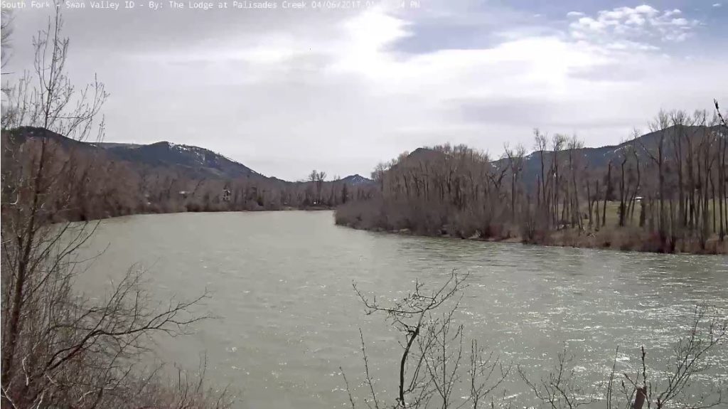 South Fork Webcam shot