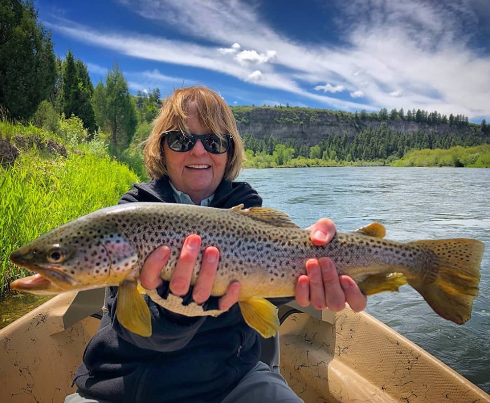south fork brown trout